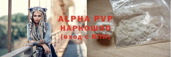 гашик Арсеньев