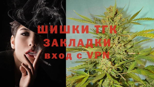 гашик Арсеньев