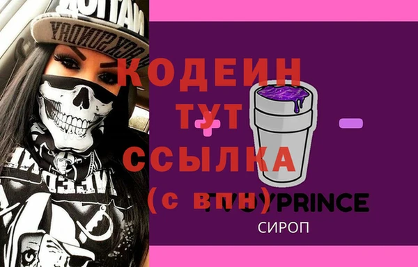 гашик Арсеньев