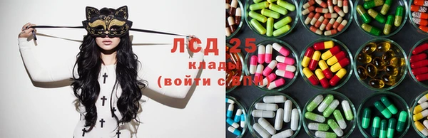 трава Аркадак