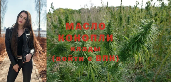 гашик Арсеньев