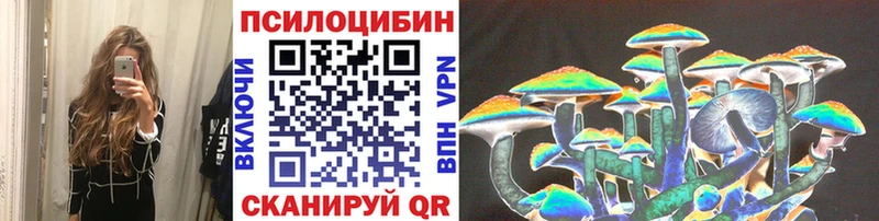 mega   Белозерск  Псилоцибиновые грибы Cubensis 